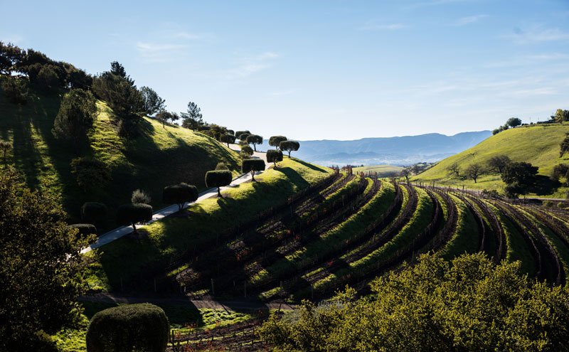 Tackle Solvang Ride Camp with Trek Travel Cycling Vacations
