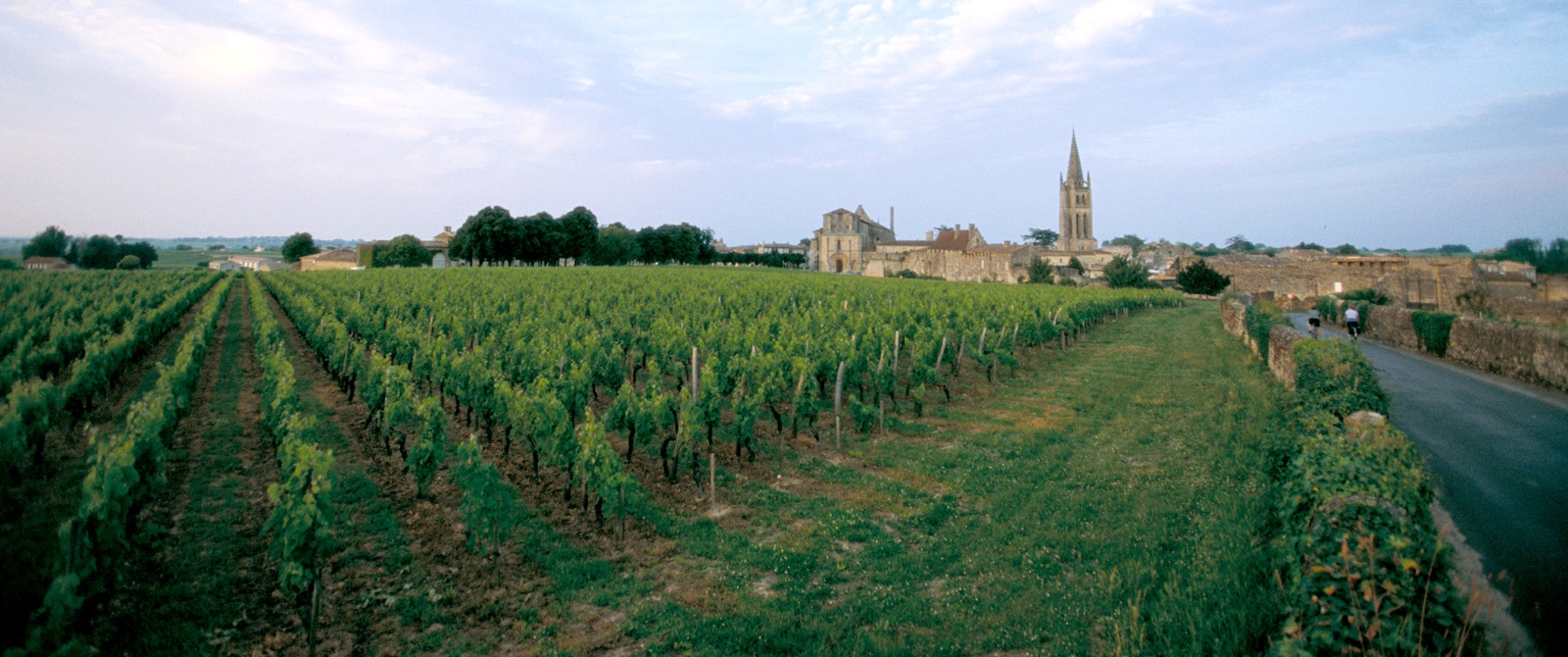 Join Trek Travel and AmaWaterways on a Bordeaux River Cruise bike trip