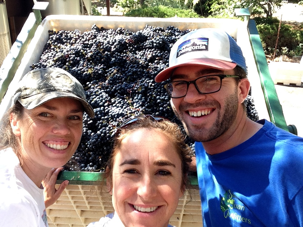 Experience the grape harvest at Summit Lake Vineyards in the California Wine Country on a Trek Travel bike tour