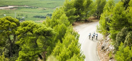Cycle in the Penedes Wine Region on Trek Travel's Barcelona Bike Tour