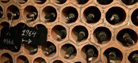 Taste wines in the Alentejo Wine Region on a Portugal bike tour