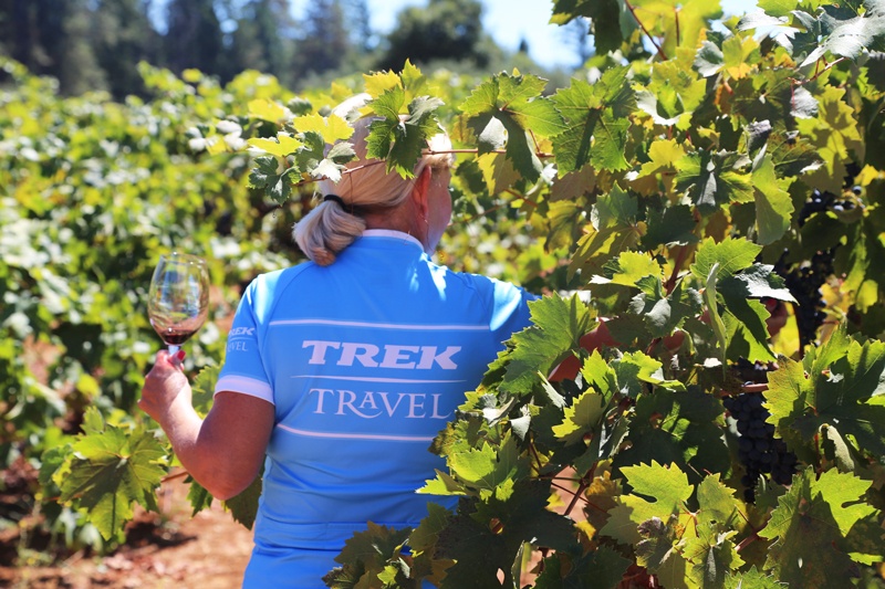 Enjoy wine tours and tastings on a California Wine Country bike tour