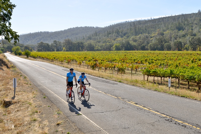 Ride along vineyards on our California Wine Country weekend bike tour