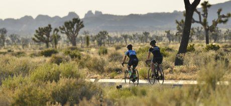 Palm Springs and Joshua Tree National Park bike tour with Trek Travel