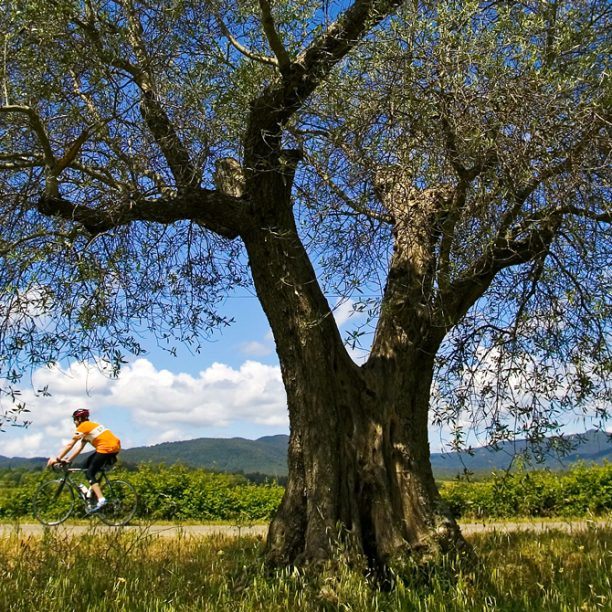 View full trip details for Girona 3-Day Weekend Self-Guided Bike Tour