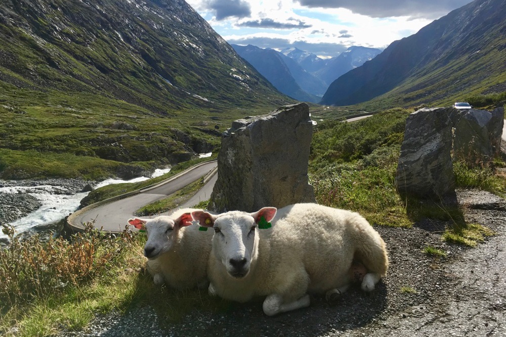 Trek Travel Norway Fjordlands cycling vacation 
