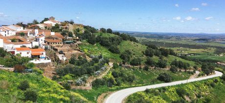 Explore Portugal's wine region on a Trek Travel Bike Tour