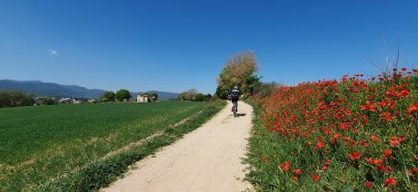 Join Trek Travel for a gravel bike tour in Girona, Spain