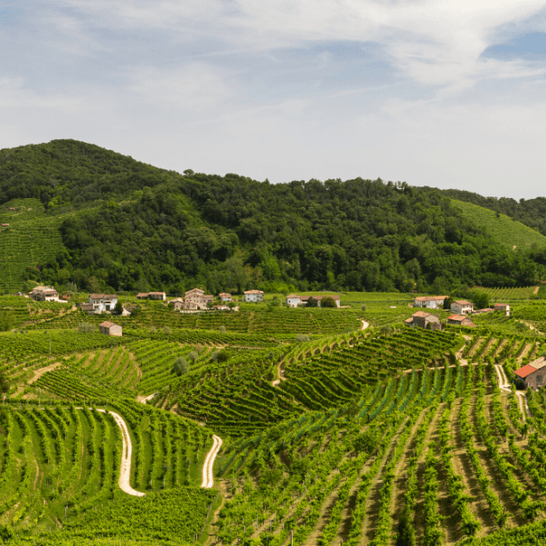 View full trip details for Prosecco Hills Self-Guided