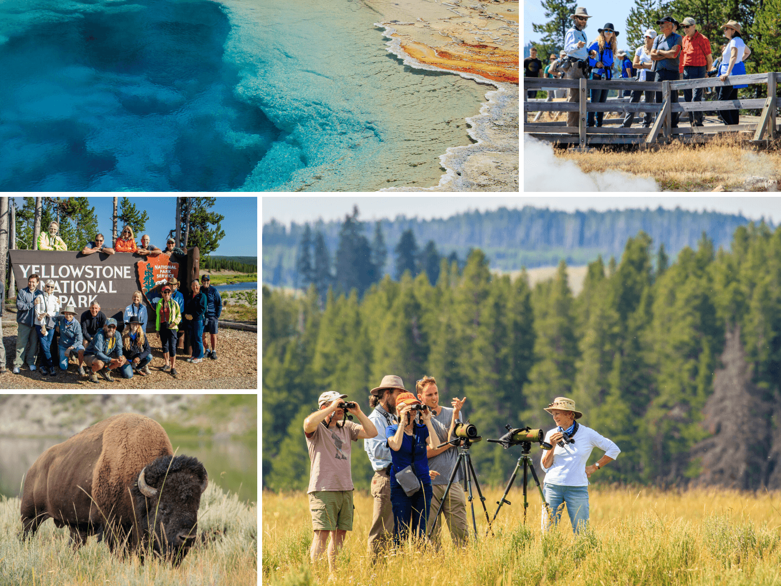 Yellowstone guided tour