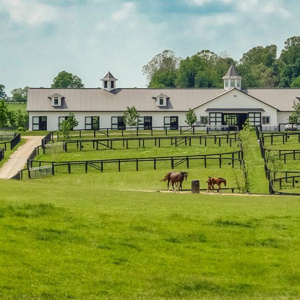 View full trip details for Kentucky Bourbon Country