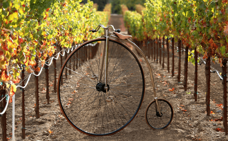 Antique Penny-farthing bike in the California vineyards