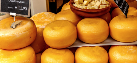Gouda cheese in the market