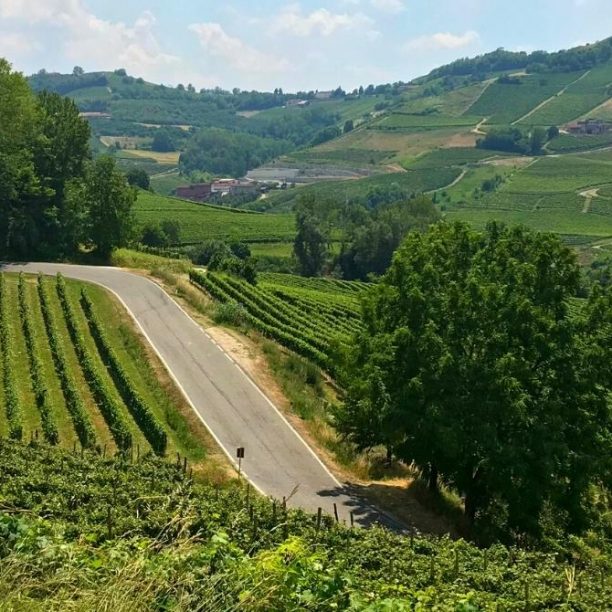 View full trip details for Piedmont’s Barolo and Truffle Bike Tour