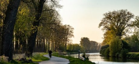 Biking along the canals of the Netherlands