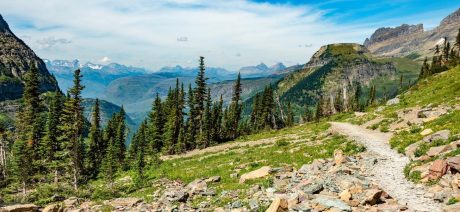 Hidden Lake hiking trail in Glacier national park