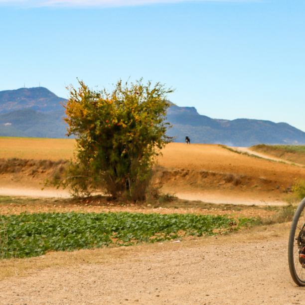 View full trip details for Girona Gravel Bike Tour