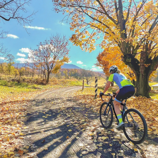View full trip details for Shenandoah Valley Gravel Bike Tour