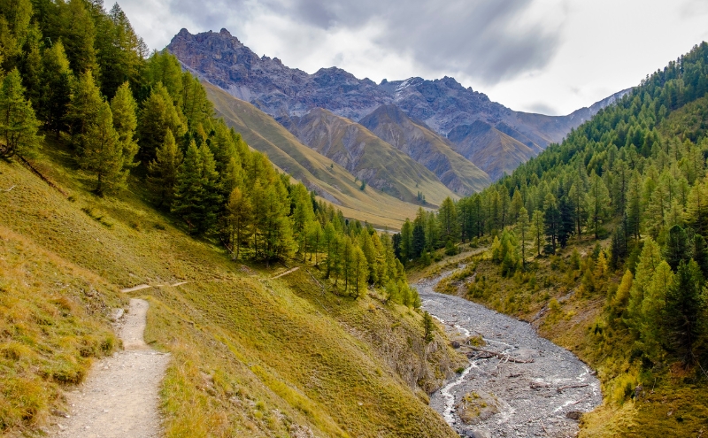Gravel path, evergreen trees, and a river through a valley in the Swiss National Park