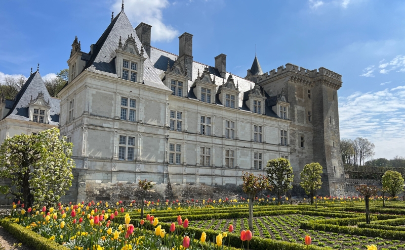 A chateau in the Loire with tulip gardens