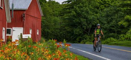 Cyclist riding alongside Vermont barns with lilies in the foreground.