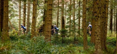 A group of three gravel bikers riding through the woods in Scotland.